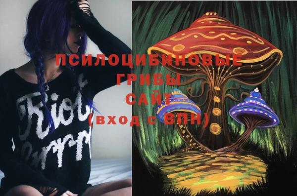 а пвп мука Новодвинск