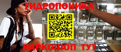 мяу мяу мука Бузулук