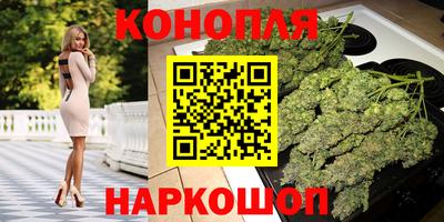 дмт Будённовск