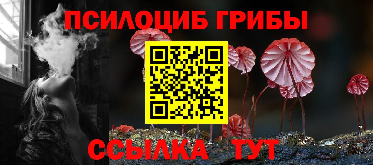 Галлюциногенные грибы ЛСД  Вход с VPN  наркошоп  Балашов  Галлюциногенные грибы прущие грибы 